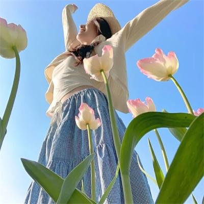 风速一千里免费在线观看
