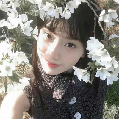 蝴蝶的微笑免费在线观看